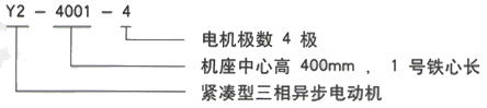 YR系列(H355-1000)高压YJTFKK4004-4-355KW三相异步电机西安西玛电机型号说明